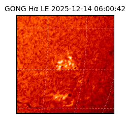 gong - 2025-12-14T06:00:42