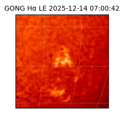 gong - 2025-12-14T07:00:42