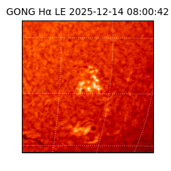 gong - 2025-12-14T08:00:42