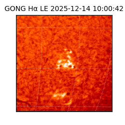 gong - 2025-12-14T10:00:42