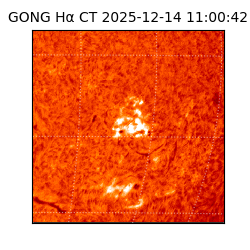 gong - 2025-12-14T11:00:42