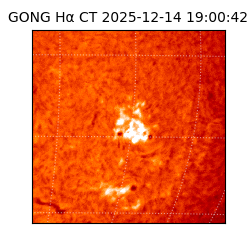 gong - 2025-12-14T19:00:42