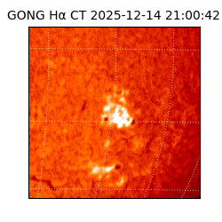 gong - 2025-12-14T21:00:42