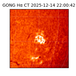 gong - 2025-12-14T22:00:42