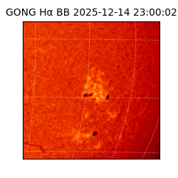 gong - 2025-12-14T23:00:02