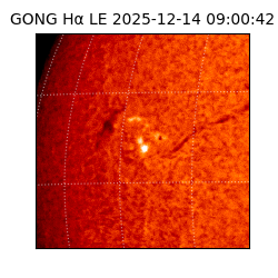 gong - 2025-12-14T09:00:42