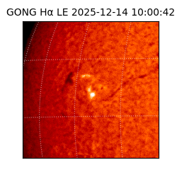gong - 2025-12-14T10:00:42