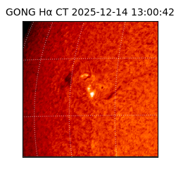 gong - 2025-12-14T13:00:42