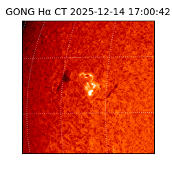 gong - 2025-12-14T17:00:42