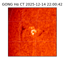 gong - 2025-12-14T22:00:42