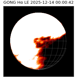 gong - 2025-12-14T00:00:42