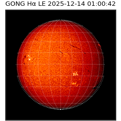 gong - 2025-12-14T01:00:42