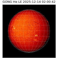 gong - 2025-12-14T02:00:42