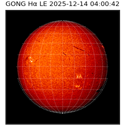 gong - 2025-12-14T04:00:42