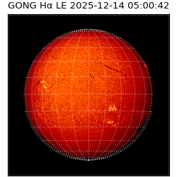 gong - 2025-12-14T05:00:42