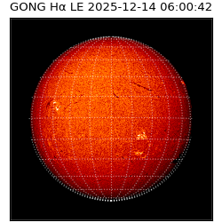 gong - 2025-12-14T06:00:42