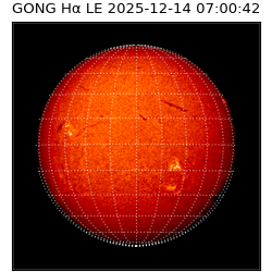 gong - 2025-12-14T07:00:42