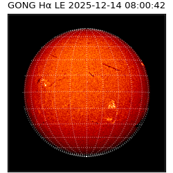 gong - 2025-12-14T08:00:42
