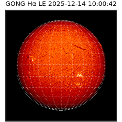 gong - 2025-12-14T10:00:42