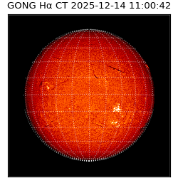 gong - 2025-12-14T11:00:42