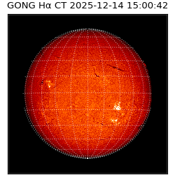 gong - 2025-12-14T15:00:42