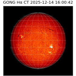 gong - 2025-12-14T16:00:42