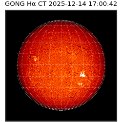 gong - 2025-12-14T17:00:42