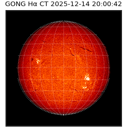 gong - 2025-12-14T20:00:42
