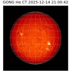 gong - 2025-12-14T21:00:42