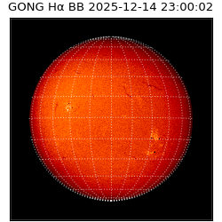 gong - 2025-12-14T23:00:02