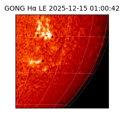 gong - 2025-12-15T01:00:42