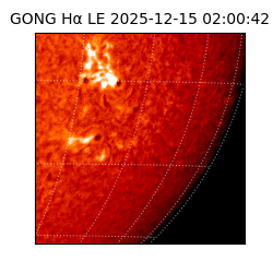 gong - 2025-12-15T02:00:42