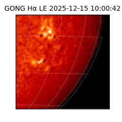 gong - 2025-12-15T10:00:42