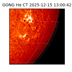 gong - 2025-12-15T13:00:42
