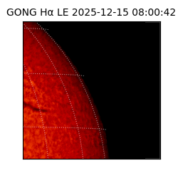 gong - 2025-12-15T08:00:42