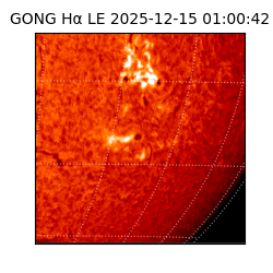 gong - 2025-12-15T01:00:42