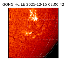 gong - 2025-12-15T02:00:42