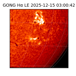 gong - 2025-12-15T03:00:42