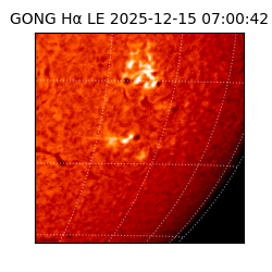 gong - 2025-12-15T07:00:42