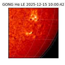 gong - 2025-12-15T10:00:42