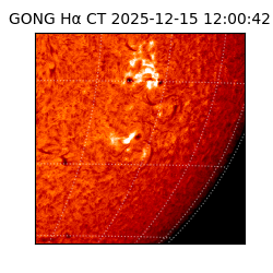 gong - 2025-12-15T12:00:42