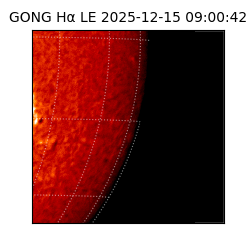 gong - 2025-12-15T09:00:42