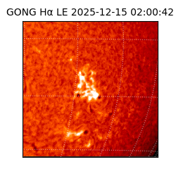 gong - 2025-12-15T02:00:42