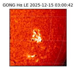 gong - 2025-12-15T03:00:42