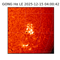 gong - 2025-12-15T04:00:42