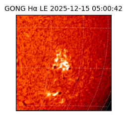 gong - 2025-12-15T05:00:42