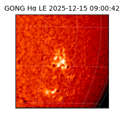 gong - 2025-12-15T09:00:42