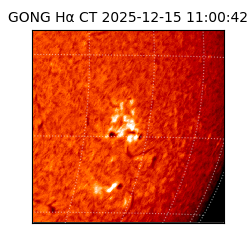 gong - 2025-12-15T11:00:42