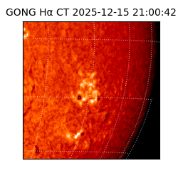 gong - 2025-12-15T21:00:42