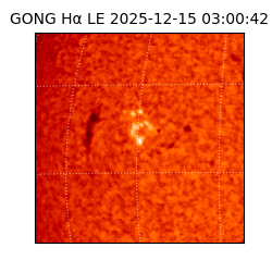 gong - 2025-12-15T03:00:42